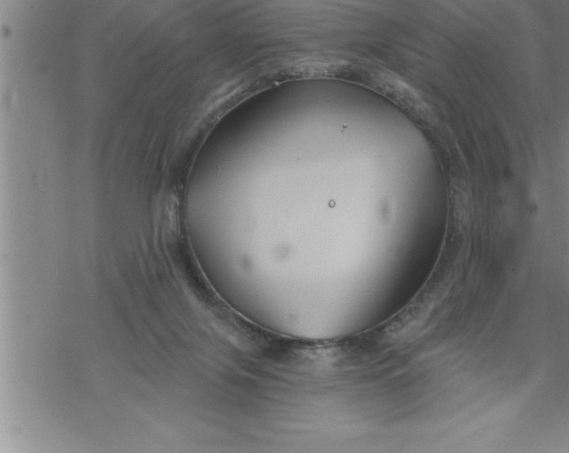 X0000069830071200606021347