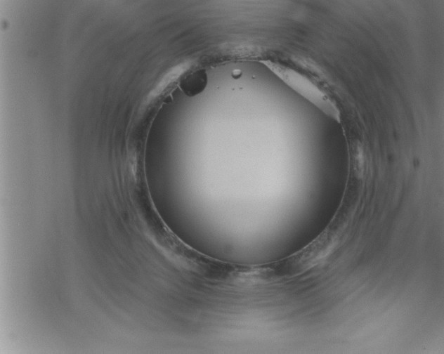 X0000069830072200606021347