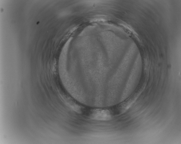 X0000069830073200606021347