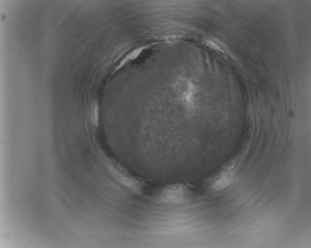 X0000069830076200606021347