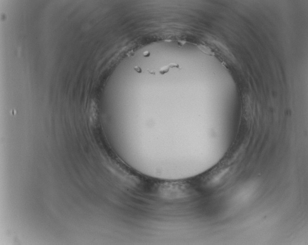 X0000069830077200606021347