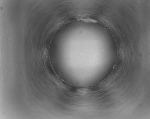 X0000069830079200606021347