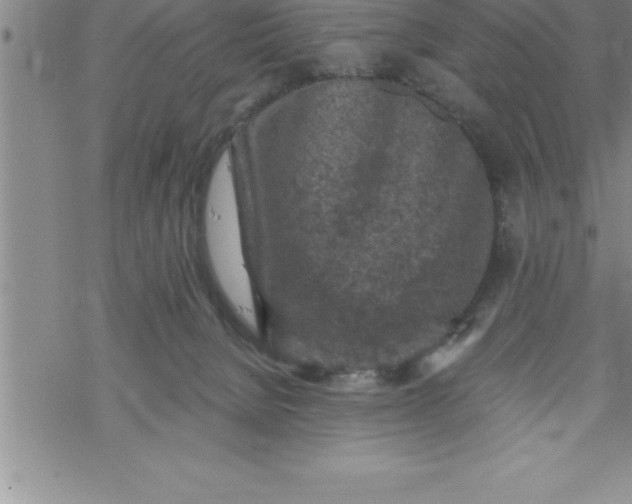 X0000069830080200606021347