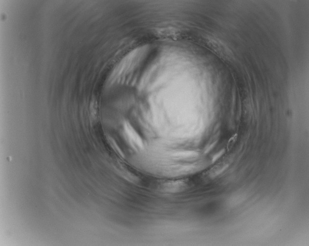 X0000069830081200606021347