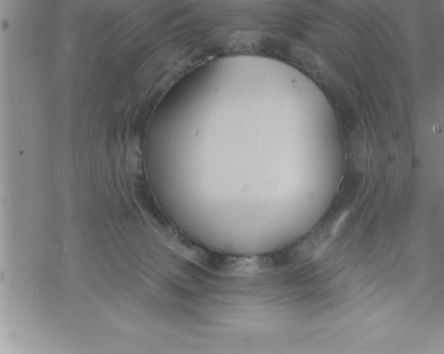 X0000069830083200606021347