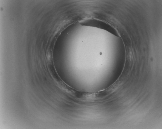 X0000069830084200606021347