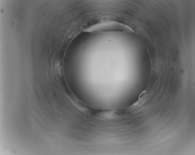 X0000069830086200606021347