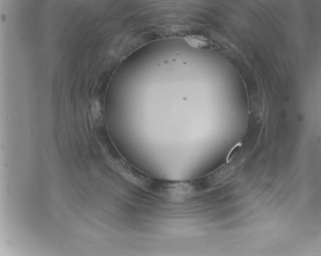 X0000069830087200606021347