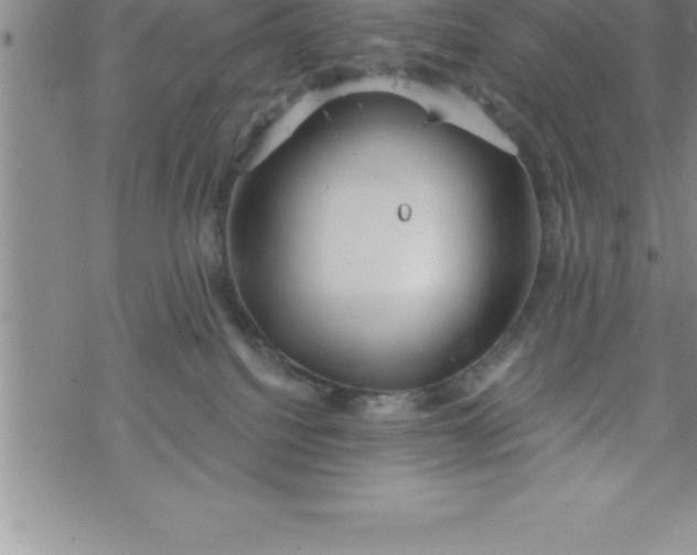 X0000069830088200606021347