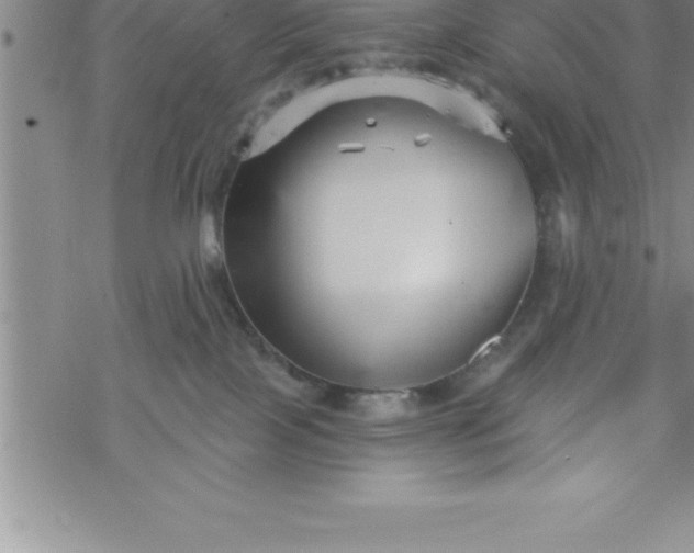 X0000069830089200606021347