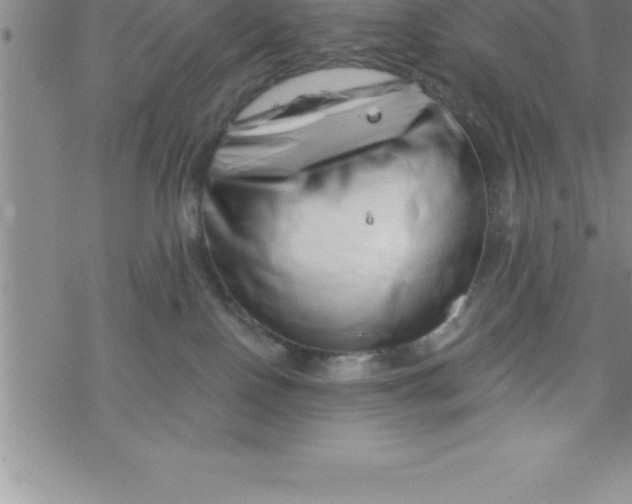 X0000069830090200606021347