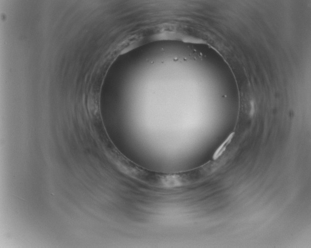 X0000069830091200606021347