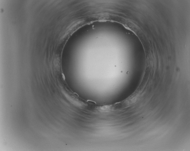 X0000069830092200606021347