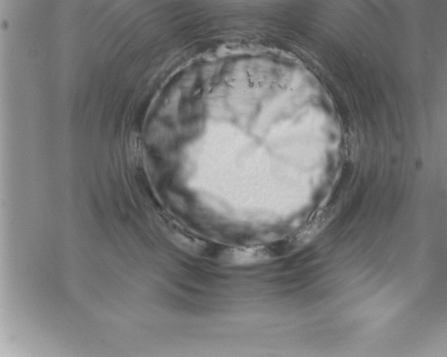 X0000069830093200606021347