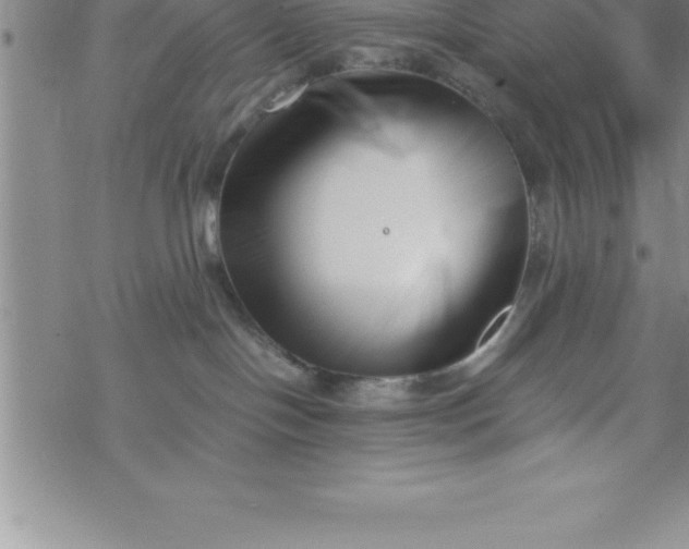 X0000069830094200606021347