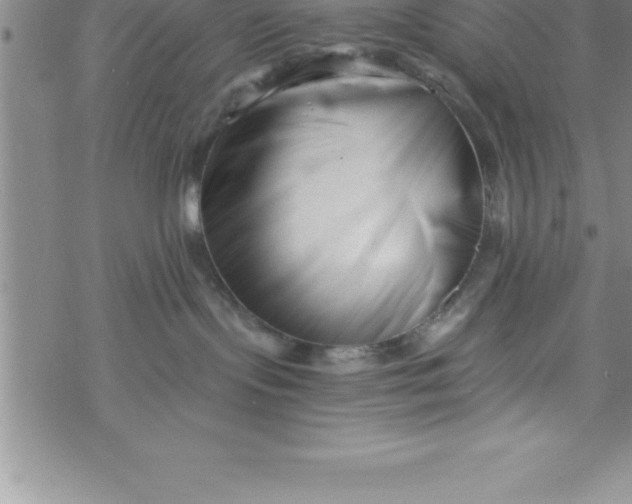 X0000069830095200606021347