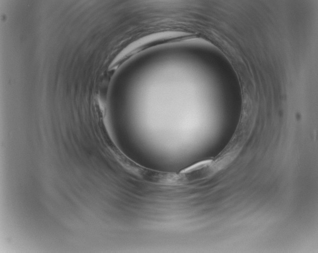 X0000069830096200606021347