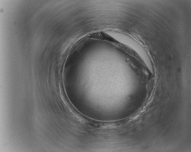 X0000069830097200606021346