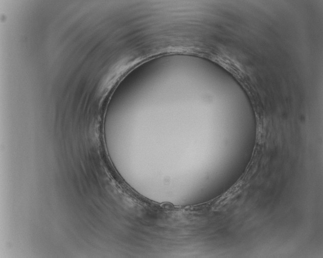 X0000069830098200606021346