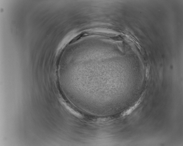 X0000069830101200606021346