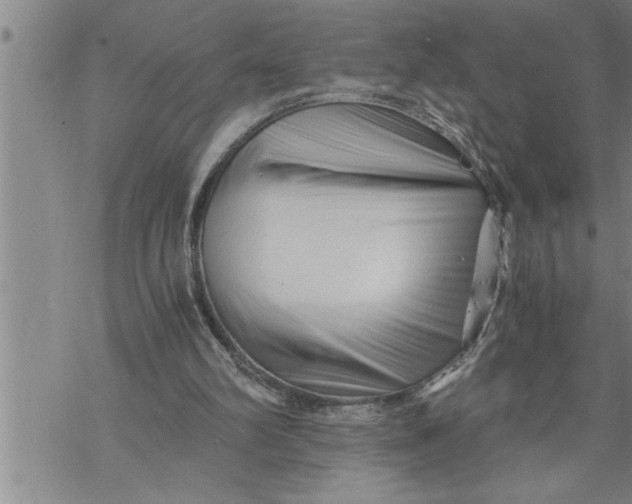 X0000069830102200606021346