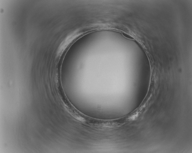 X0000069830103200606021346