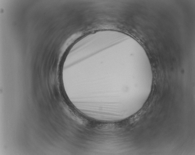 X0000069830104200606021346