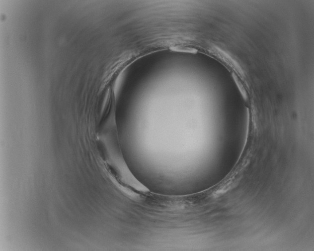 X0000069830105200606021346