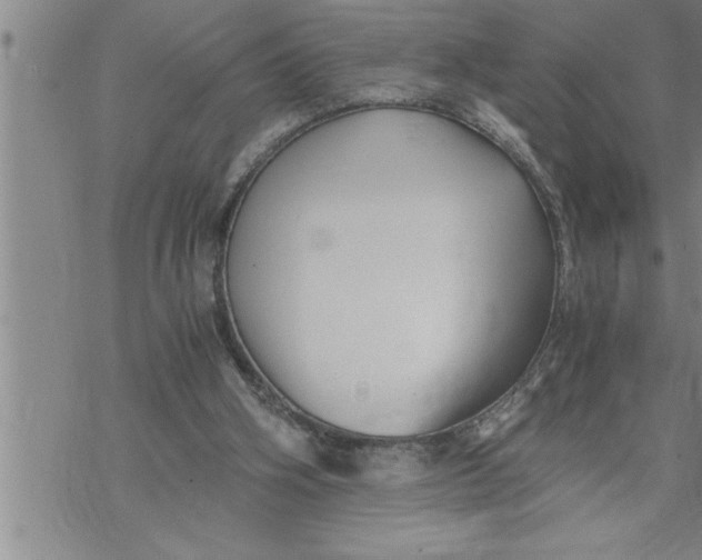 X0000069830106200606021346