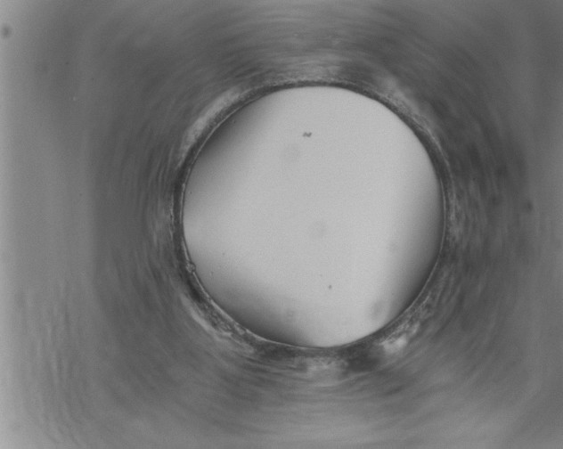 X0000069830107200606021346