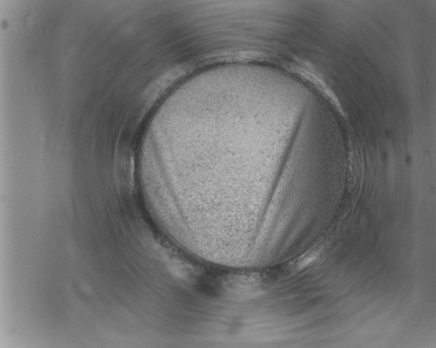 X0000069830110200606021346