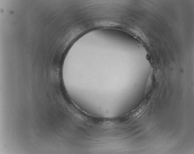 X0000069830111200606021346