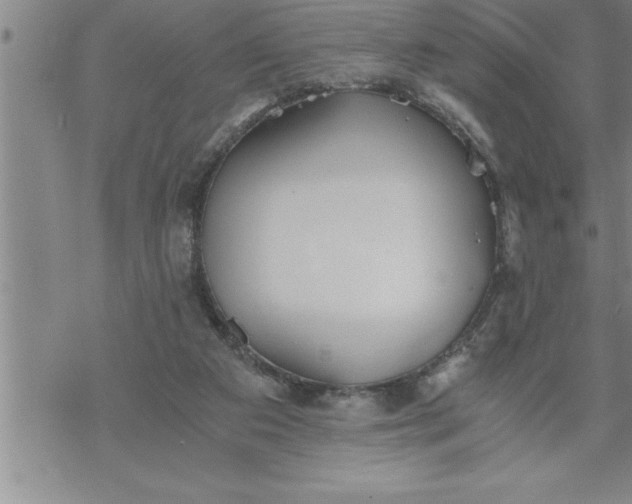 X0000069830113200606021346