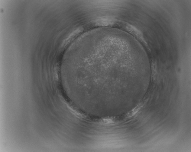 X0000069830114200606021346