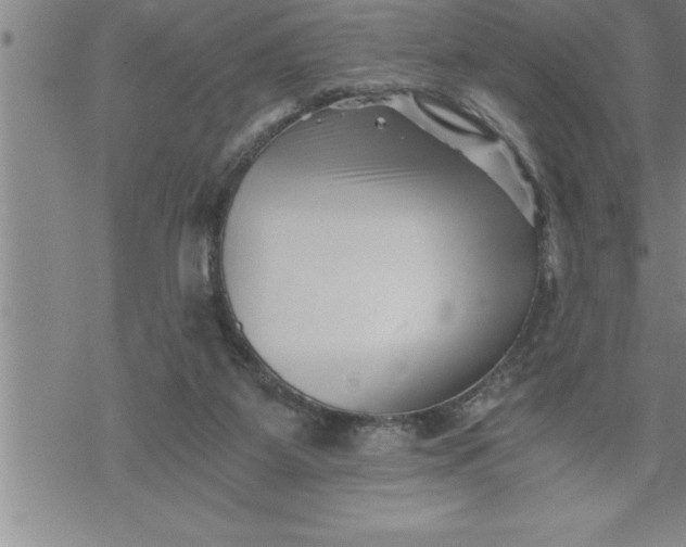 X0000069830115200606021346