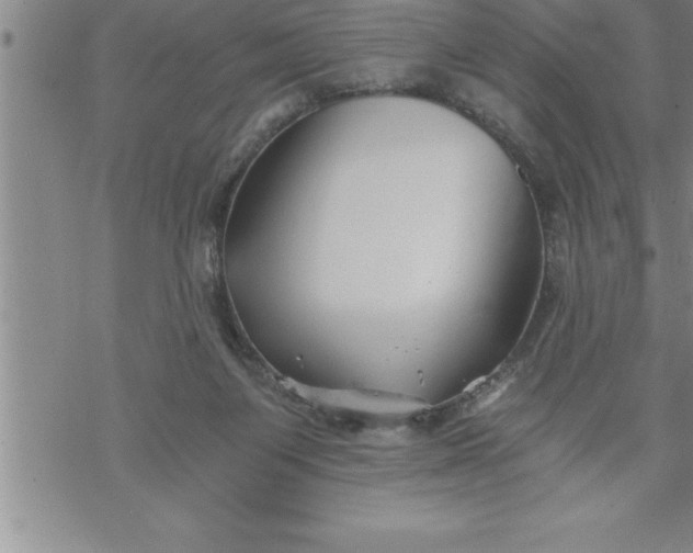 X0000069830119200606021346