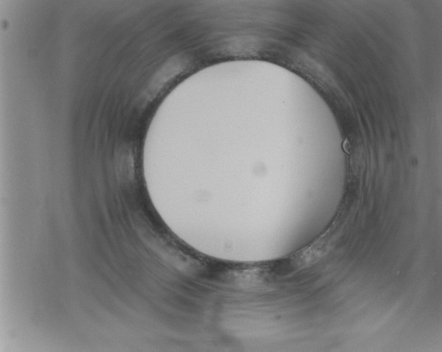 X0000069830120200606021346