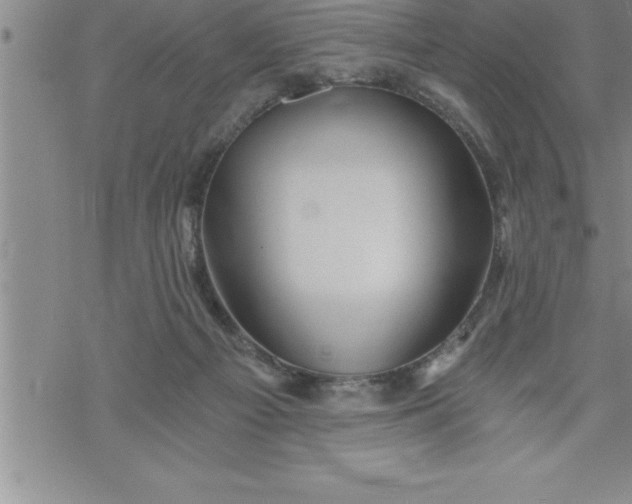 X0000069830121200606021346