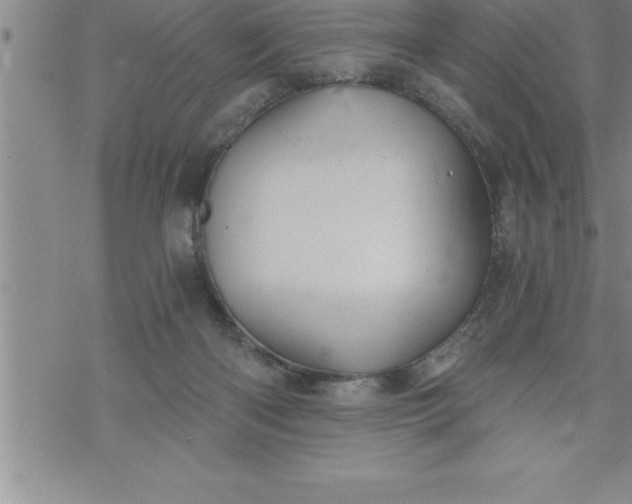 X0000069830122200606021346