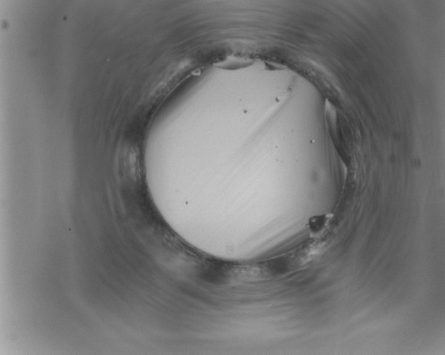 X0000069830123200606021346