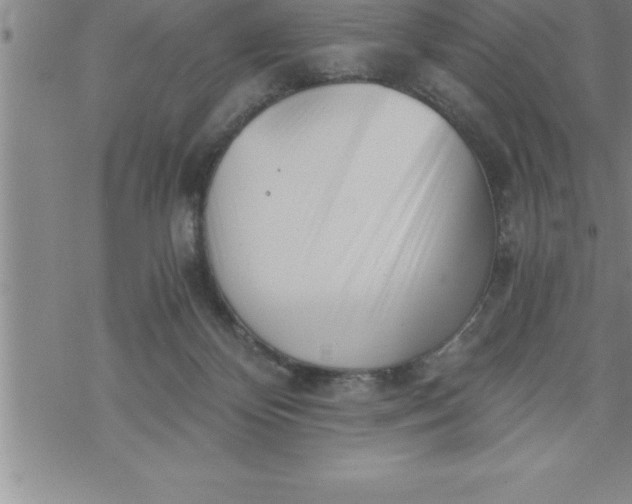 X0000069830124200606021346