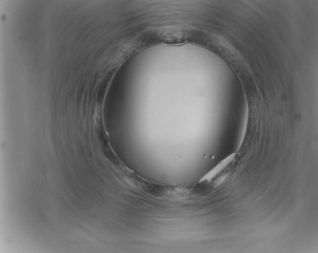 X0000069830125200606021346