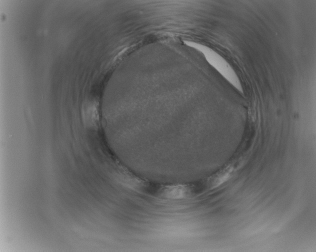 X0000069830127200606021346