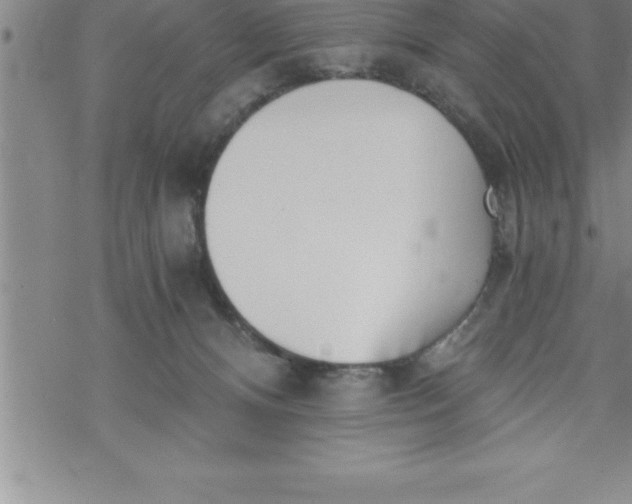 X0000069830128200606021346