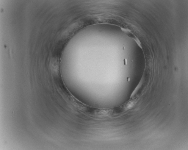 X0000069830129200606021346