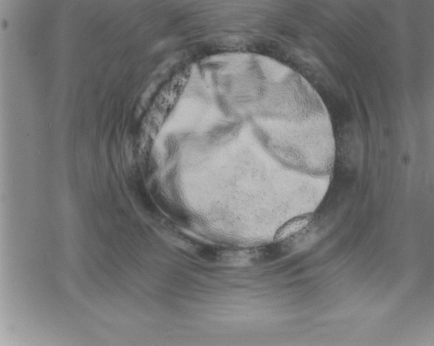 X0000069830131200606021346