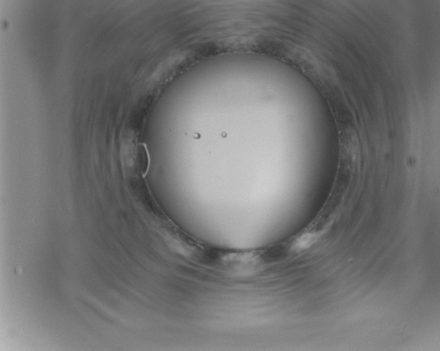 X0000069830133200606021346