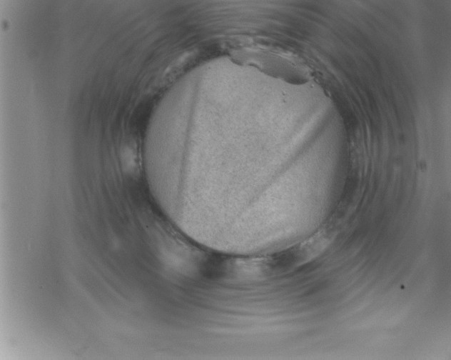 X0000069830134200606021346