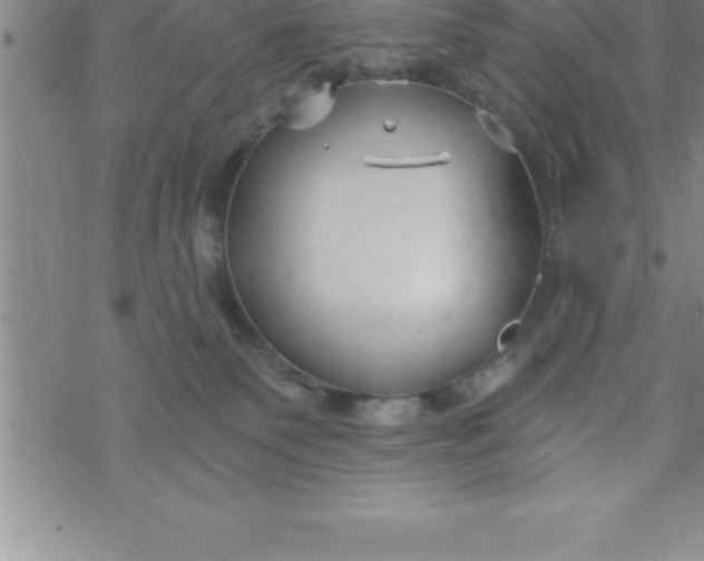 X0000069830135200606021346