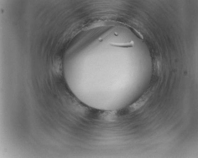 X0000069830138200606021346